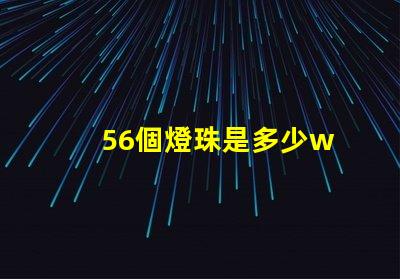 56個燈珠是多少w 200個燈珠是多少W